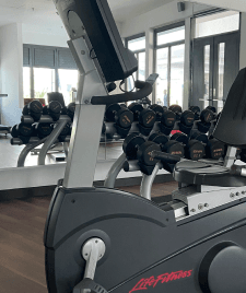 Gymnasium